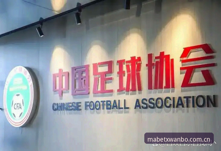 中国足协第三批禁足名单曝光，哪些足球从业者被终身禁足？